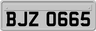 BJZ0665