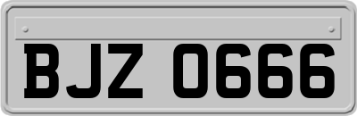 BJZ0666