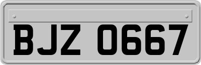BJZ0667