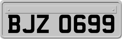 BJZ0699
