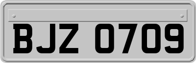 BJZ0709