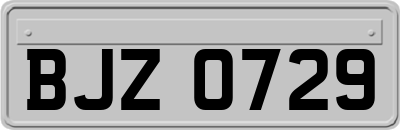 BJZ0729