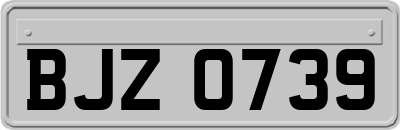 BJZ0739