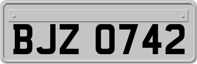 BJZ0742