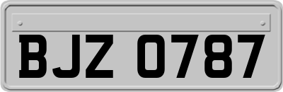 BJZ0787