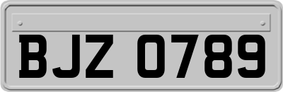 BJZ0789