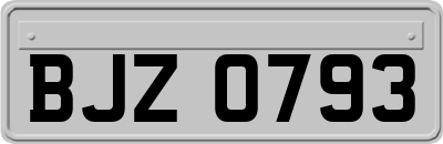 BJZ0793