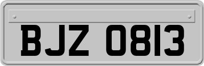 BJZ0813
