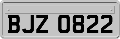 BJZ0822