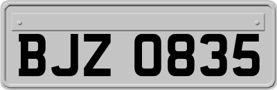 BJZ0835