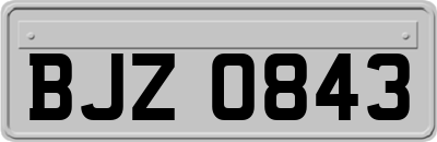 BJZ0843