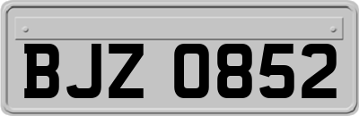 BJZ0852