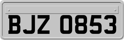 BJZ0853