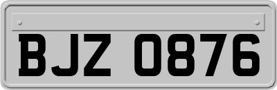 BJZ0876