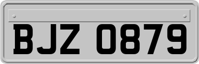 BJZ0879