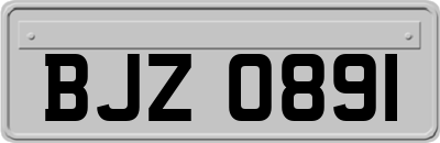 BJZ0891