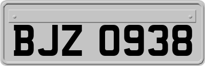 BJZ0938