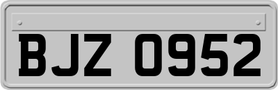 BJZ0952
