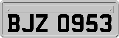 BJZ0953