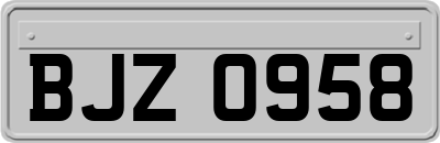 BJZ0958