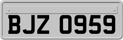 BJZ0959