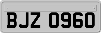 BJZ0960