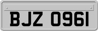 BJZ0961