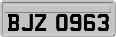 BJZ0963