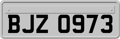BJZ0973