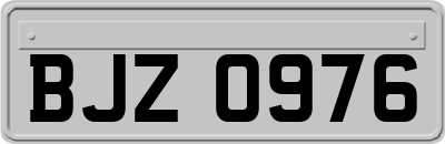 BJZ0976