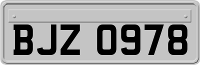 BJZ0978