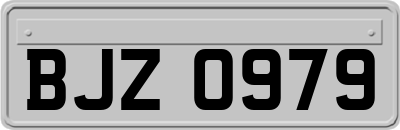BJZ0979