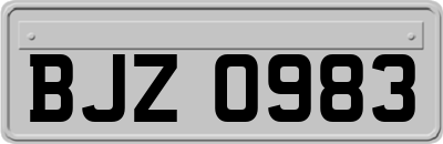 BJZ0983