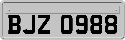 BJZ0988