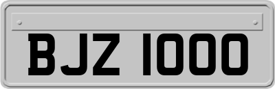BJZ1000