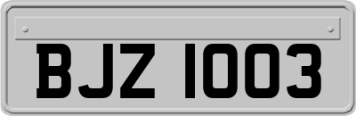 BJZ1003