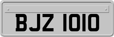 BJZ1010