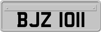 BJZ1011
