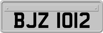 BJZ1012