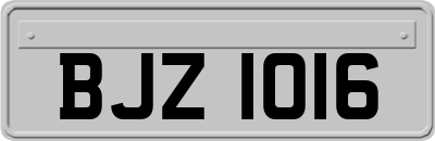 BJZ1016