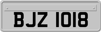BJZ1018