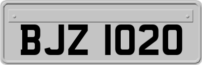 BJZ1020
