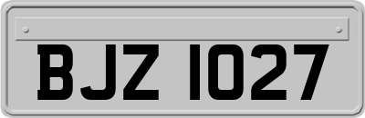 BJZ1027