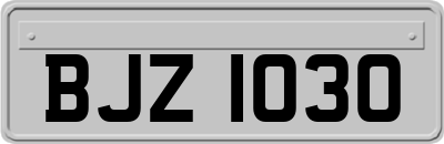 BJZ1030