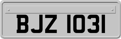 BJZ1031
