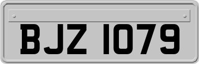 BJZ1079