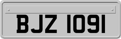 BJZ1091