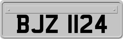 BJZ1124