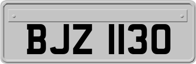 BJZ1130