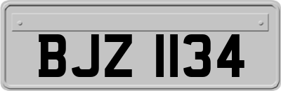 BJZ1134